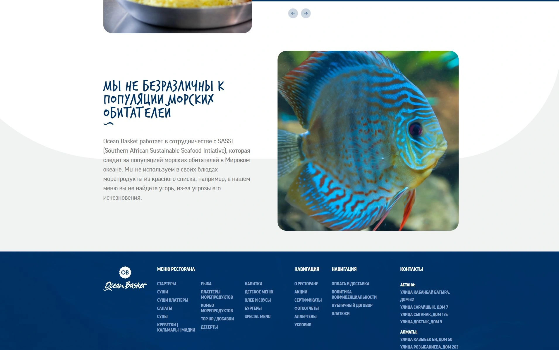 История Ocean Basket