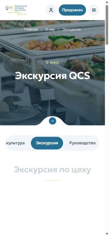 Мобильная страница QCS